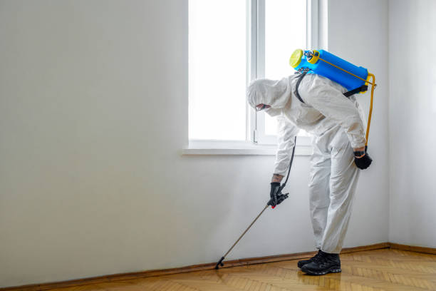 Best Residential Pest Control  in Westbrook Center, CT