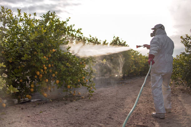 Best Pest Removal Services  in Westbrook Center, CT